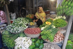 Vegetable-Seller-Rikta.JPG