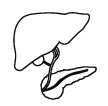 Hepatobiliary and Pancreatic Surgery