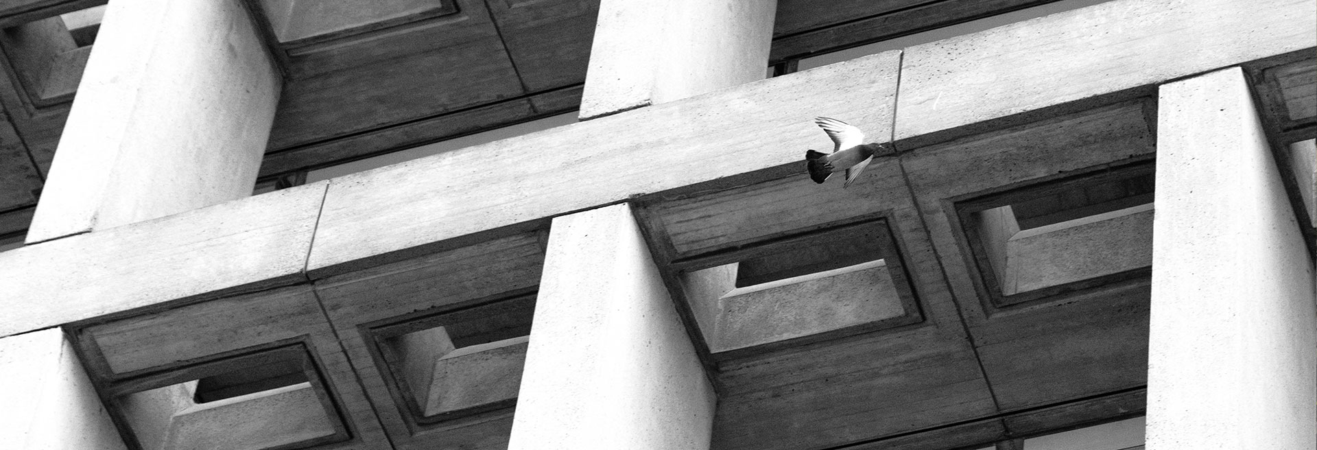 Turning Dreams Into Concrete Realities